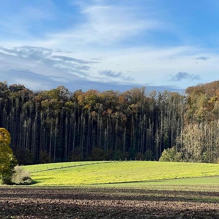 Ferienhaus Kleine Auszeit In Der Natur Mit Kamin, Yogamatten, Schoene Kueche Extertal Bagian luar foto